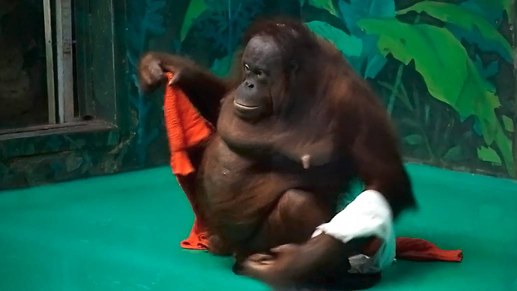 Мама Мишель решила поменять гардероб, а у ее маленькой дочки появилась красивая прическа.