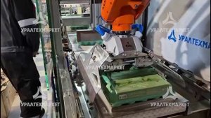 Укладка упаковок с яйцами в коробки