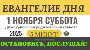 1 ноября  Евангелие дня 2025 с толкованием #евангелие (5 минут) Апостол