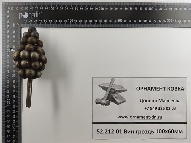 52.212.01 Вин.гроздь  100*60 д.15