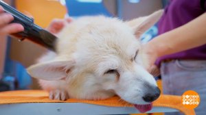 Линяем по-быстрому! Доброе утро. Фрагмент выпуска от 31.10.2025