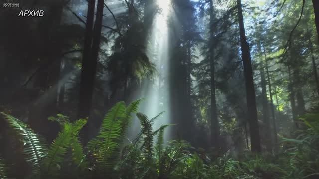 УТРО ИНГУШЕТИИ  31.10.25