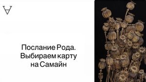 Послание Рода. Выбираем карту на Самайн | Станислав Решетников | Инсайт Портал