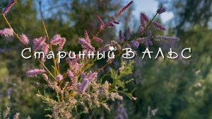 СТАРИННЫЙ ВАЛЬС, Дуэт баянистов,  А.Шалаев и Н.Крылов