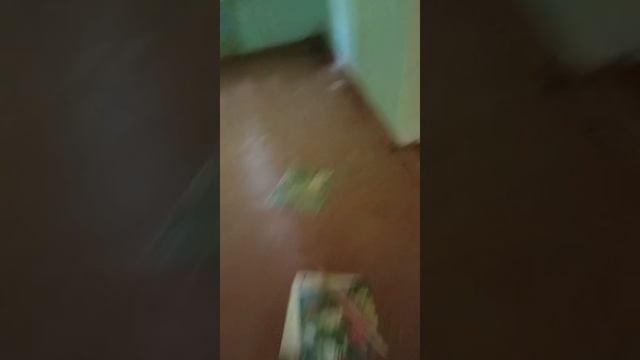 заброшенный лагерь (ходка 1я) #1