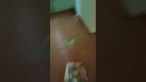 заброшенный лагерь (ходка 1я)