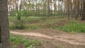 Министерство лесного хозяйства Воронежской области предупредило о начале сжигания древесных остатков