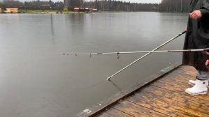 Форель на черный маггот.