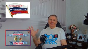 ИСКУССТВО ИЗГОТОВЛЕНИЕ КОРМОВ ДЛЯ АКВАРИУМНЫХ РЫБ.