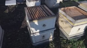 26.10.2025 г. Заканчиваю объединение двух семей.