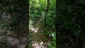 Интересная тропа на горе Медвель в Архипо-Осиповке, пепесек отметку 4400 иду дальше