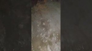 крайняя ночь в Ирбите