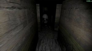 Спидран гренни.