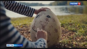 «Вообще прикольно»: костромичи оценили новую сказку «Горыныч»