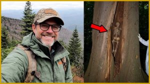Турист Пропал в Redwood National Park — Его Кости Нашли в Пустом Дереве на Глубине 5 Метров...
