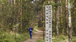 Колтушские высоты! Памятник всемирного наследия ЮНЕСКО рядом с кварталом "Расцветай в Янино"