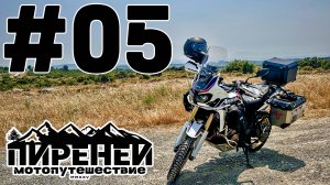 Пиренеи. Заповедник Корбьер-Фенуйед. Мотопутешествие 2025. Филин.