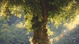 Новый рассказ из жизни - Требования свекрови после развода, как я дала отпор...