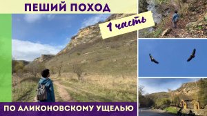 Пеший поход по Аликоновскому ущелью 1 часть