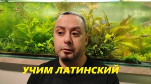 Латынь и Аквариум