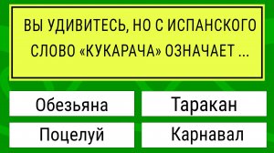 Только САМЫЕ УМНЫЕ смогут ответить на 15 из 20 вопросов! Тест на эрудицию