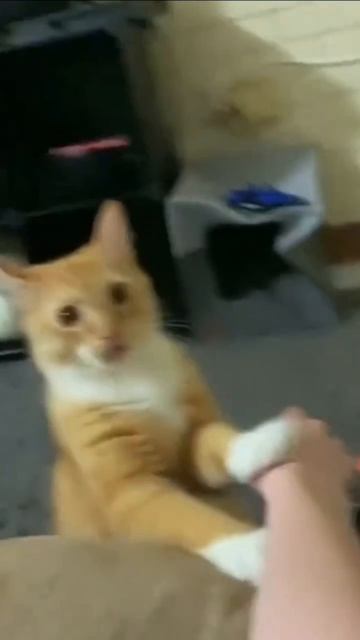 А ты думаешь, мне не больно было?