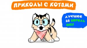 Приколы с котами. ЛУЧШЕЕ ЗА АПРЕЛЬ 2025 | Мемозг