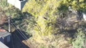 ❗Донбасс. Работает «Рубикон»