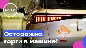 Эпизод 29. Лав стори