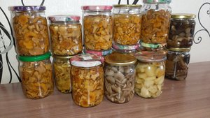 МОИ ГРИБОЧКИ 2025 МАРИНОВАННЫЕ ЛИСИЧКИ ОПЯТА БЕЛЫЕ АССАРТИ