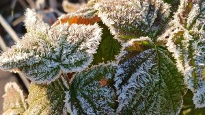 Красота природы в морозный день на даче 👍💖#дача