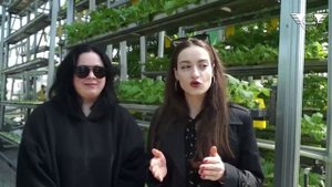 Это – очень развитая технология.