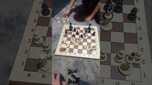 Я играю с сестрой в шахматы