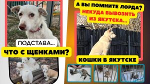 Подстава. А если б я так предавала…