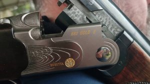 ППЗ-2 с Беретты.