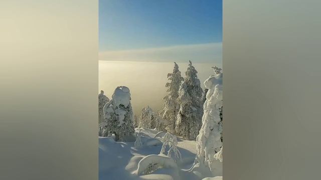 Сатсанг √82, Роберт Адамс. смотреть онлайн