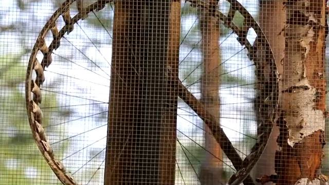 КОМЕДИЯ РОК  Белка в колесе!(((