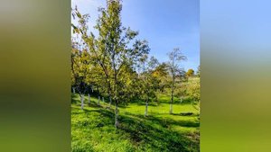 866.Прощай октябрьская Хорватия 🍁.