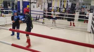 31.10.2025 г. СПАРРИНГИ ДЮСЦ группа на 9:00.