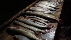 Рыбалка на Станьях. 31 октября.