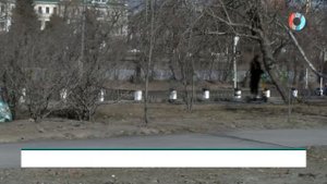 Публичные слушания