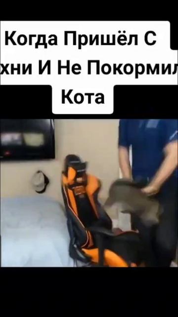 Кот монстр смотреть онлайн