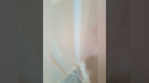 НАСТОЯЩИЙ ДОМ ГРЕННИ В РЕАЛЬНОЙ ЖИЗНИ (ЧАСТЬ 2)