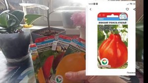 А вы уже шуршите пакетиками? А я шуршу, а не давно ныла и стонала!