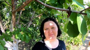 Часть 1: Дачный влог и Подробный отзыв об отеле Barut B Suites 4*.  Плюсы и минусы отеля.