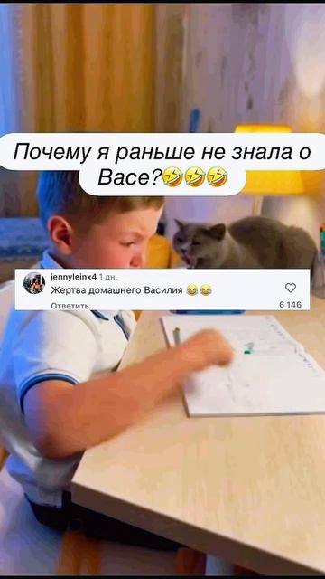 Где раздобыть такого Васю? #Shorts смотреть онлайн