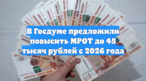 В Госдуме предложили повысить МРОТ до 45 тысяч рублей с 2026 года