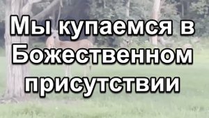 Мы купаемся в Божественном присутствии