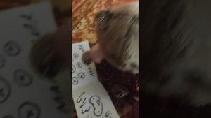 Сёма заболел((