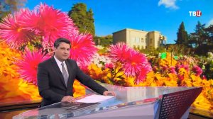 В Никитском ботаническом саду в Крыму проходит традиционный "Бал хризантем" / События на ТВЦ